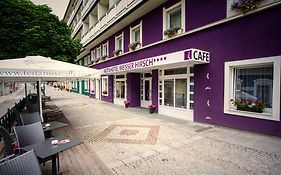 AKTIVHOTEL Weisser Hirsch